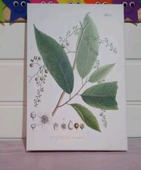 canvas wall art 8 x 12