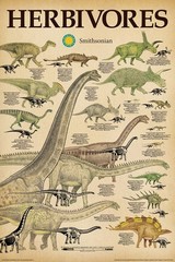 Poster Studio B – Smithsonian Herbivores Dionsaur List 24×36″ NEW Art N241467