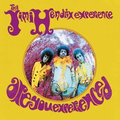 JIMI HENDRIX Are You Experienced Album Cover Poster Print 12 x 12 Reproduction