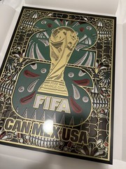 FIFA World Cup 2026 Mexico 3D Wood Frame #077/100 Limited Edition Rare CANMEXUSA