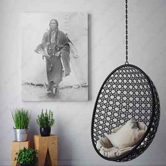 Chief Quanah Parker Of The Kwahadi Comanche Native America Canvas Print Wall Art