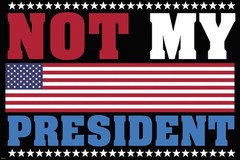 638746 Not My President Politics Political Trump Clinton Wall Decor Poster