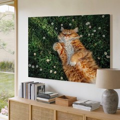 Orange Tabby Cat Relaxing on Grass with White Flowers Canvas Wall Art Print