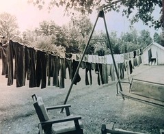 CLOTHESLINE Photo Picture Black And White Laundry 8×10