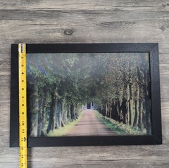 Holographic Season Changes Tree Photo 13×19″ Framed 3D Optical Landscape Image