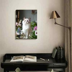 Cute Ragdoll Cat Kitten with Flowers Painting Metal Print Ready to Hang