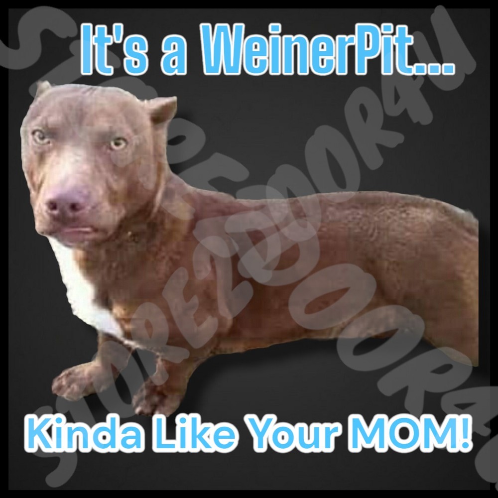 Funny Meme Wall Art Decoration Print – Unique Humorous 8×10 for Room and Home