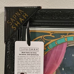 Sapna Shah THE INTROVERT Skeleton Tarot Framed Wall Art Black Ornate 18×12″
