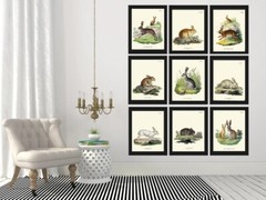 Rabbit Bunny Animal Pet Wall Art Set of 9 Prints Beautiful Antique Unframed