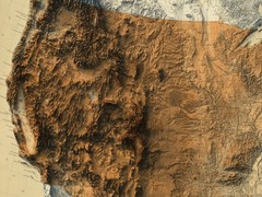 USA 2D Relief Map, United States Vintage Map (Darker Version) – 2D Flat Print