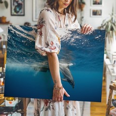Playful Dolphin Gracefully Swims Underwater, Captured In A Dynamic Wall Art