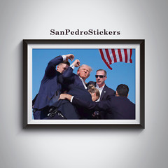 DONALD TRUMP 2024 11″ x 17″ Poster Print – 7/13 Attempted Assassination – Shots