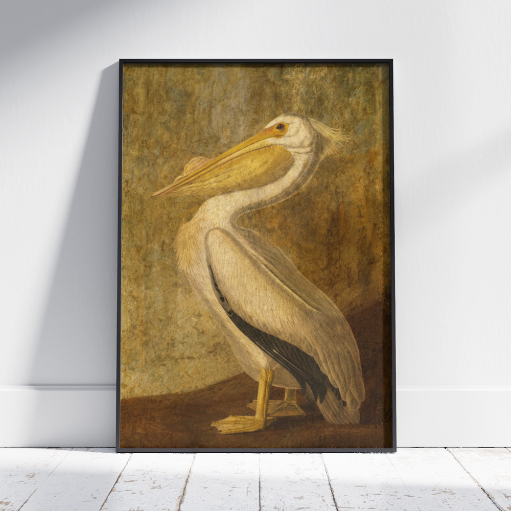 Vintage Pelican Poster Antique Bird Painting Wall Art Print Home Decor Room Gift