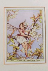2 Vintage Fairy Framed Art Print by Cicely Mary Barker Wood Gold Frame 8×10 1/2