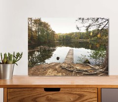 Nature & Wood Pier 5mm thick Plastic Poster Ready to Hang 60x45cm