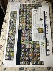 Periodic Table of Cannabis Poster 24×36 Licensed Reprint CultureInk 2014