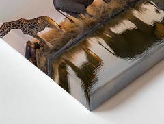 Wall Art In A Vibrant Wildlife Scene, A Diverse Assembly Of Animals Gathers