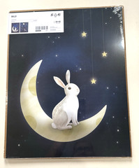 2 Pack IKEA Bild Poster Moon Bunny Deer Stars Kids Posters 16 1/4″ x 20″