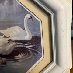 Vtg Homco Swan Pictures-Set of 2 – Hexagon Painted Frames Cottagecore ~READ~