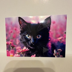 Black Cat Glossy Print in Pink & Purple Flowers, Horizontal 4×6 Wall Decor Rare