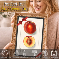 Vintage Peach Illustration Poster Framed 11×17 Botanical Fruit Wall Art Decor