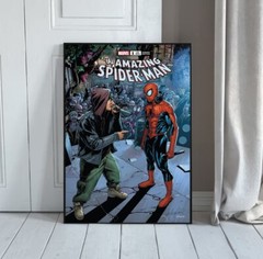 Spider-Man And Eminem Poster