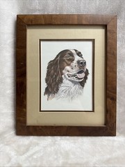 English Springer Spaniel Dog Double Matted Brown Frame 9.5″ x 11.5″ Roger Crowys