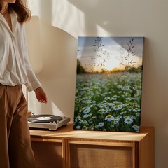 Serene Field Of White Daisies With Vibrant Yellow Centers Stretches Wall Art