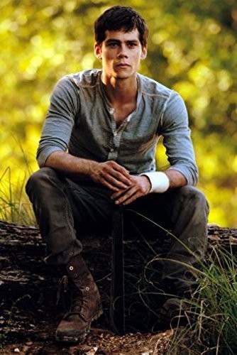 posters Dylan Obrien 24 inches x 36 36″L x 24″W, Multicolor