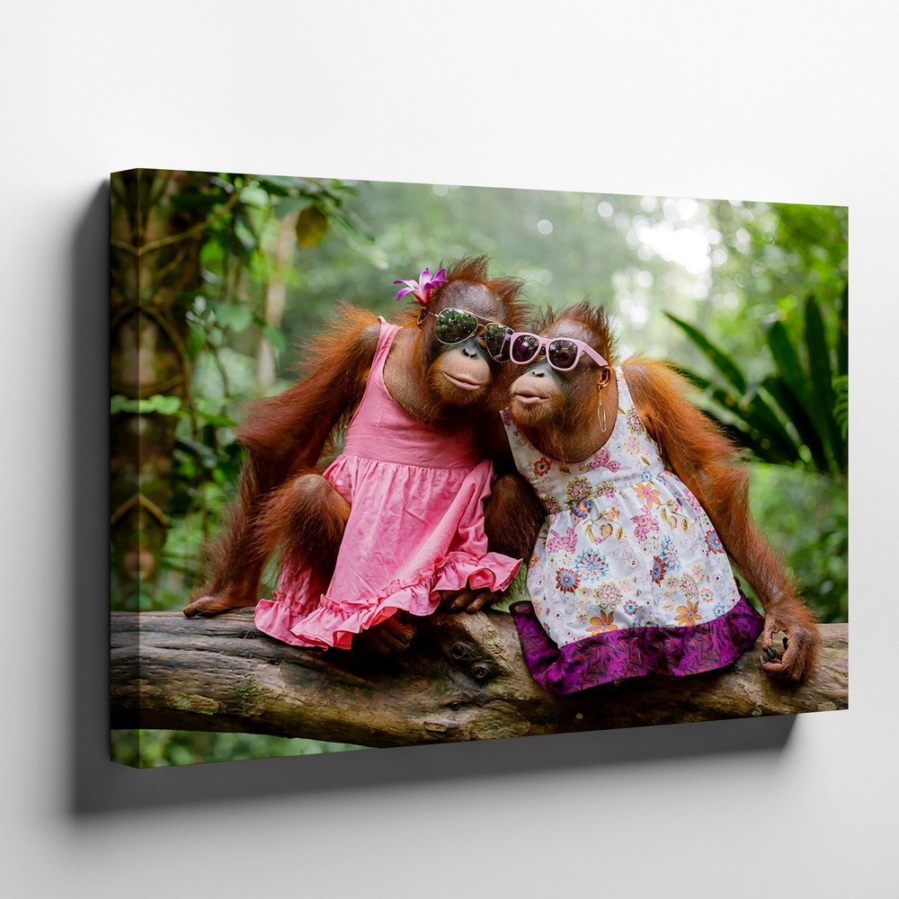 Cute orangutan monkeys in colorful dresses with sunglasses canvas wall art print