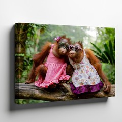 Cute orangutan monkeys in colorful dresses with sunglasses canvas wall art print