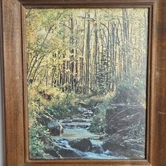 Vintage Framed Forest Prints Cottage Country Wall Art Rustic Farmhouse Decor