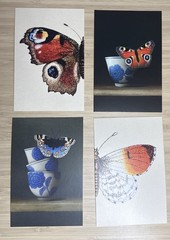 Ikea YLLEVAD Art card, Butterflies 4×6 «, 4 Pack