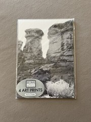 Set Of FOUR “Black & White Landscape” Themed Art Prints~Fits 5” X 7” Frames, New