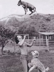 Patrick Swayze with his Dogs Photo Print Poster Wall Art
