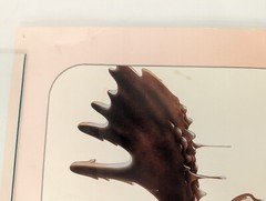 Chocolate Moose Mousse Poster Chewie Newgett Vintage 14×21”