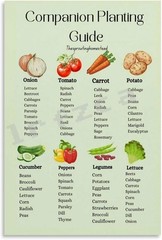 Companion Planting Chart Poster, Garden Reference Educational Wall Art