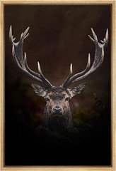 Wall26 Majestic Stag Portrait Framed Wall Art Wildlife Photography Canvas Print