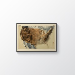 USA 2D Relief Map, United States Vintage Map (Darker Version) – 2D Flat Print