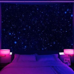 Ceiling Stars Large Wall Art Poster Blacklight Tapestry UV Reactive Wall Hanging