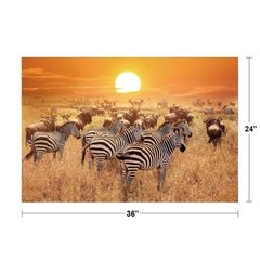 Zebra at Sunset Serengeti National Park Tanzania Africa Photo Poster 36×24
