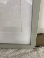 Stupell Industries Sketched Fluffy Deer Flowers, Design by Studio Q White Framed