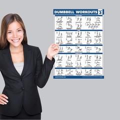 Palace Learning 4 Pack – Dumbbell Workout Posters Volume 18″ x 24″, LAMINATED