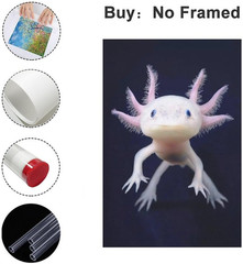 Wall Art Reptile Animal Axolotl Birthday Gifts Decorations Canvas Poster Printin