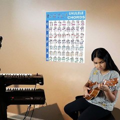 Ukulele Chords Poster, An Educational Reference guide for Ukulele Players and…