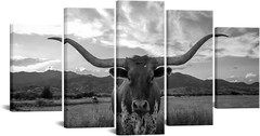 Texas Longhorn Black & White Canvas Art – 5 Piece Wall Decor 60×32 Inch