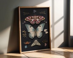 Moody Moth Artwork, Rustic Academic Insect Art, Botanical Moth Dark Poster