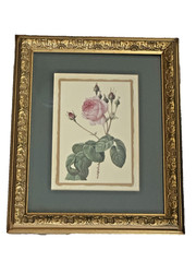 Wall Hanging Rose Print Matted Gold Frame 10×12 Glass Front New Display Unit