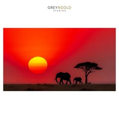 Silhouette Elephants in Sunset Nature Wall Art Print pick size A4/A3/A2/90x60cm