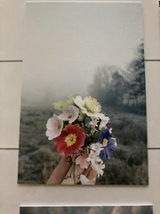 Ikea YLLEVAD Art card, Flowers4x6 «, 4 Pack